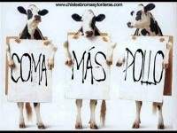/album/fotogaleria/animaciones-chistosas-imagengrande-1-jpg/